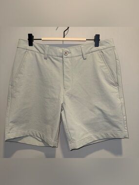 Men's Flat Front Shorts - Light Sage Green